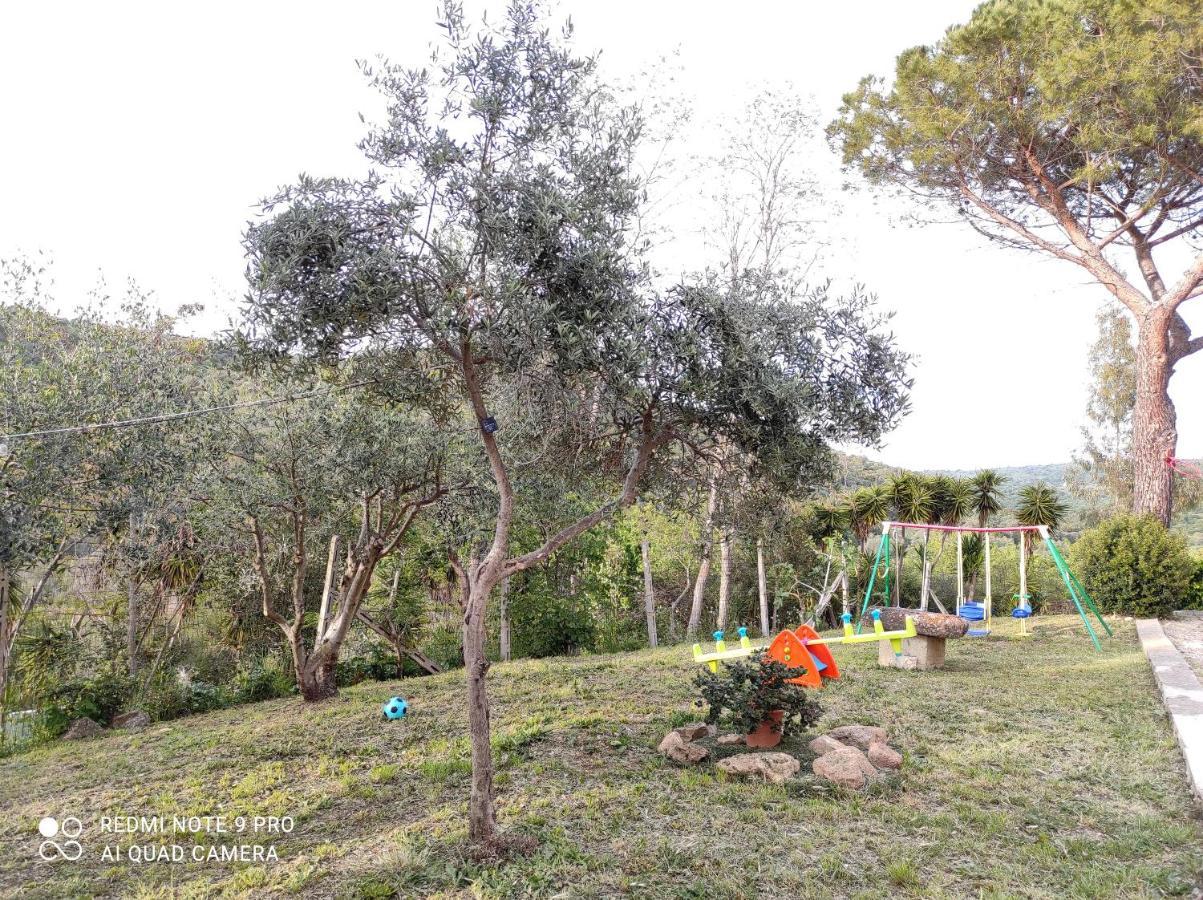 Dimora Il Camaleonte Apartments In Nature With Pool Civitavecchia Exteriör bild